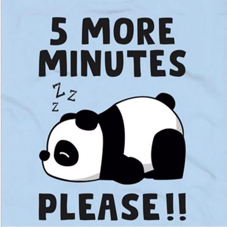 MC2 SAINT BARTH Panda plava dječija majica 